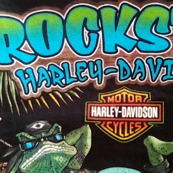 Harley Davidson skull jester tee NWOT  UNISEX - Picture 7 of 9